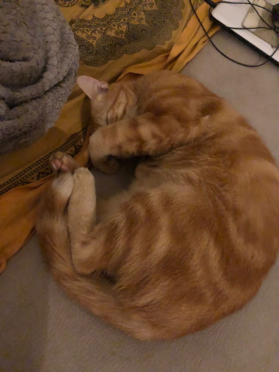 Profil von Cali
